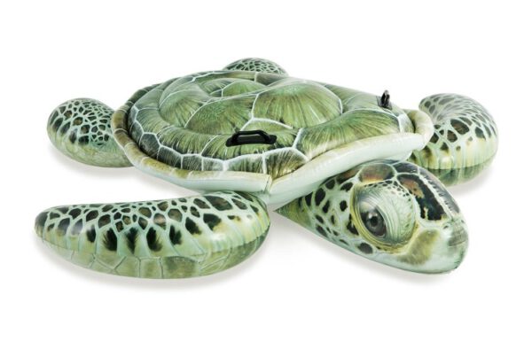 Opblaasbare schildpad - 57555NP